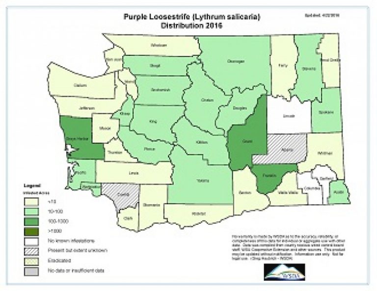 Weed Distribution Maps For Washington State Tribes Map - Printable Map